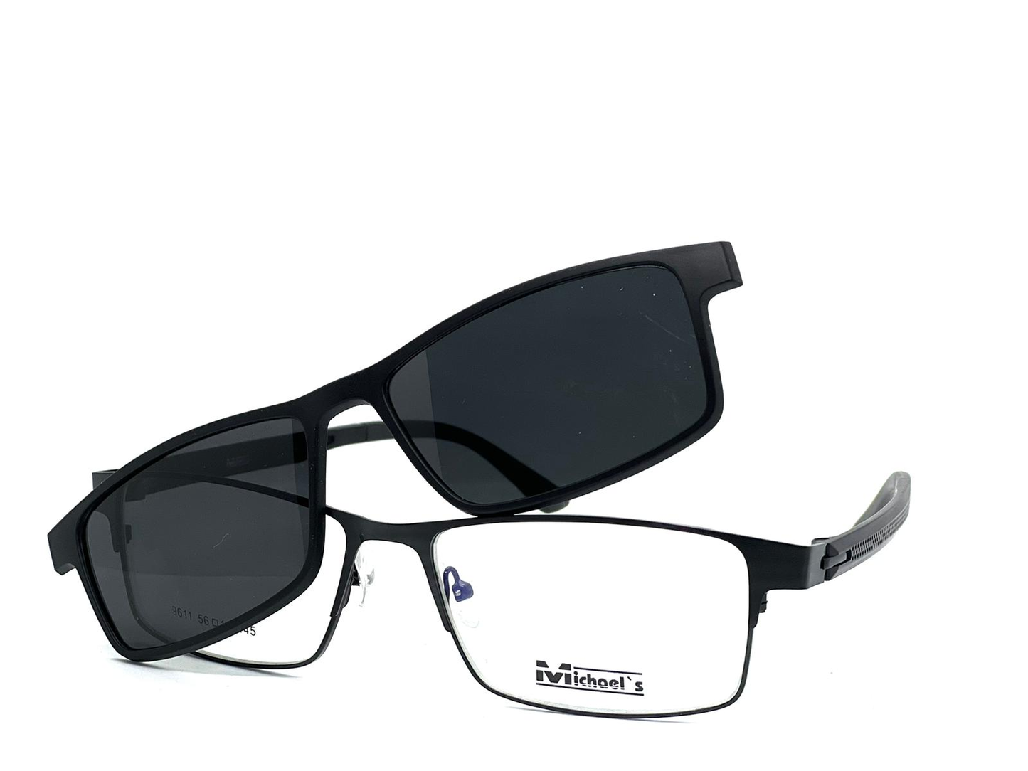 MICHEALS POLARISED