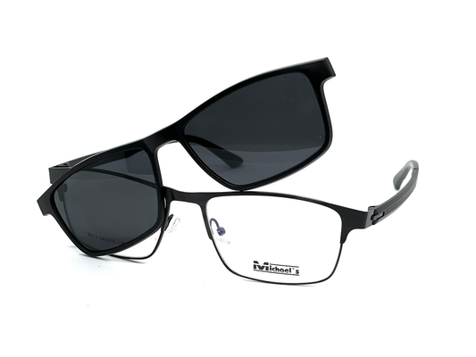 MICHEALS POLARISED